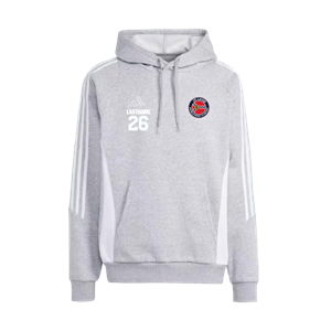 adidas Tiro24 Sweat Hoodie - Gray Image