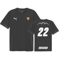 PUMA Teamgoal Matchday Jersey, Black