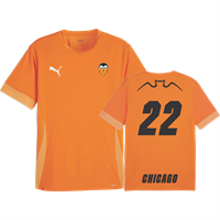 PUMA Teamgoal Matchday Jersey, Orange