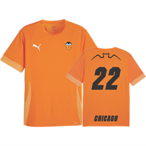 PUMA Teamgoal Matchday Jersey, Orange Image