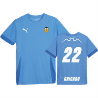 PUMA Teamgoal Matchday Jersey, Royal