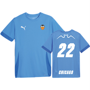 PUMA Teamgoal Matchday Jersey, Royal Image
